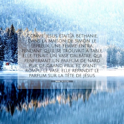 Picture 07 - Marc 14:3 LSG - Comme Jésus était à Béthanie, dans la maison - Bible Verse Picture
