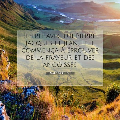 Picture 07 - Marc 14:33 LSG - Il prit avec lui Pierre, Jacques et Jean, et il - Bible Verse Picture