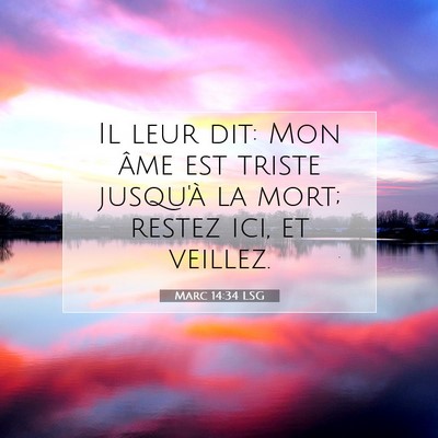 Picture 07 - Marc 14:34 LSG - Il leur dit: Mon âme est triste jusqu'à la - Bible Verse Picture