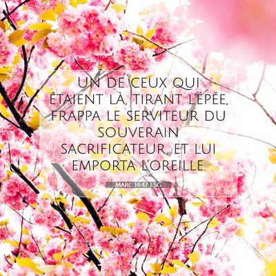 Picture 07 - Marc 14:47 LSG - Un de ceux qui étaient là, tirant l'épée, - Bible Verse Picture