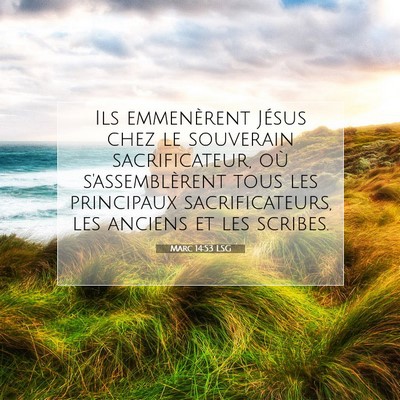 Picture 07 - Marc 14:53 LSG - Ils emmenèrent Jésus chez le souverain - Bible Verse Picture