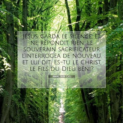 Picture 07 - Marc 14:61 LSG - Jésus garda le silence, et ne répondit rien. Le - Bible Verse Picture