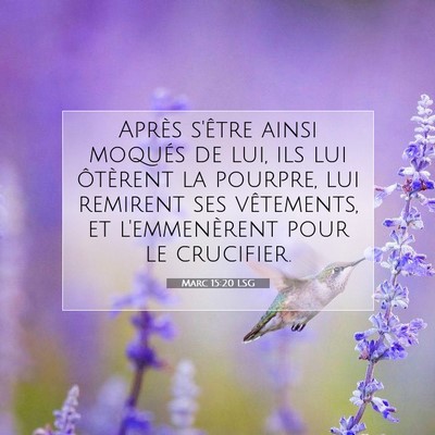 Picture 07 - Marc 15:20 LSG - Après s'être ainsi moqués de lui, ils lui - Bible Verse Picture