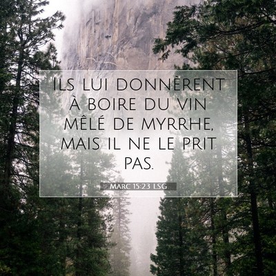 Picture 07 - Marc 15:23 LSG - Ils lui donnèrent à boire du vin mêlé de - Bible Verse Picture