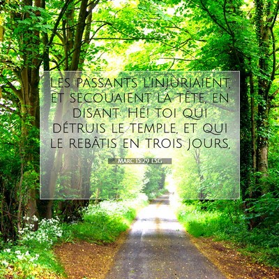 Picture 07 - Marc 15:29 LSG - Les passants l'injuriaient, et secouaient la - Bible Verse Picture
