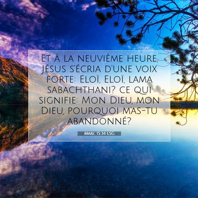 Picture 07 - Marc 15:34 LSG - Et à la neuvième heure, Jésus s'écria d'une - Bible Verse Picture