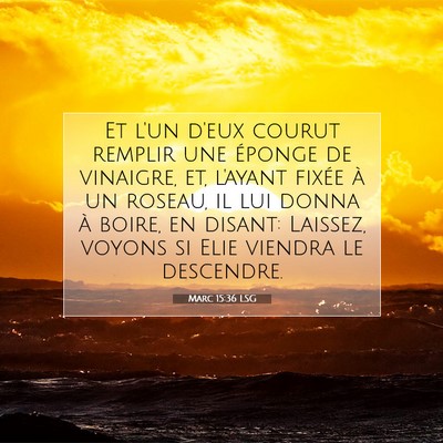 Picture 07 - Marc 15:36 LSG - Et l'un d'eux courut remplir une éponge de - Bible Verse Picture