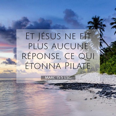 Picture 07 - Marc 15:5 LSG - Et Jésus ne fit plus aucune réponse, ce qui - Bible Verse Picture