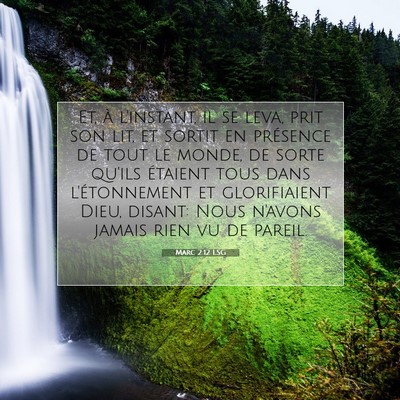 Picture 07 - Marc 2:12 LSG - Et, à l'instant, il se leva, prit son lit, et - Bible Verse Picture