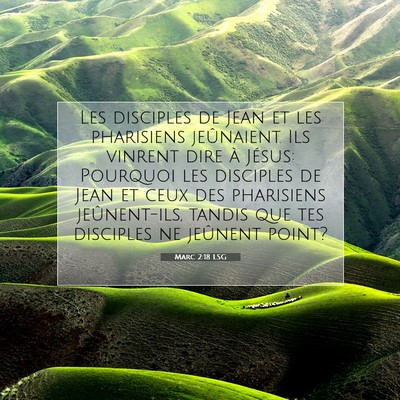 Picture 07 - Marc 2:18 LSG - Les disciples de Jean et les pharisiens - Bible Verse Picture