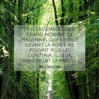 Picture 07 - Marc 2:2 LSG - et il s'assembla un si grand nombre de personnes - Bible Verse Picture