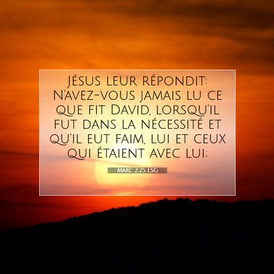 Picture 07 - Marc 2:25 LSG - Jésus leur répondit: N'avez-vous jamais lu ce - Bible Verse Picture