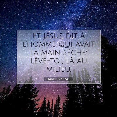 Picture 07 - Marc 3:3 LSG - Et Jésus dit à l'homme qui avait la main - Bible Verse Picture