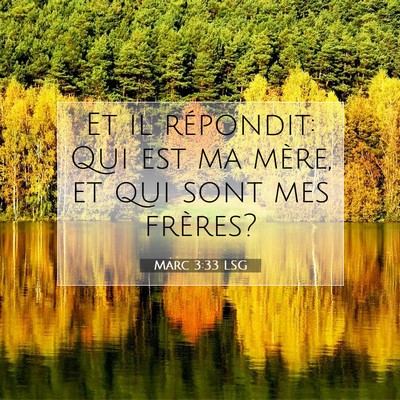 Picture 07 - Marc 3:33 LSG - Et il répondit: Qui est ma mère, et qui sont - Bible Verse Picture