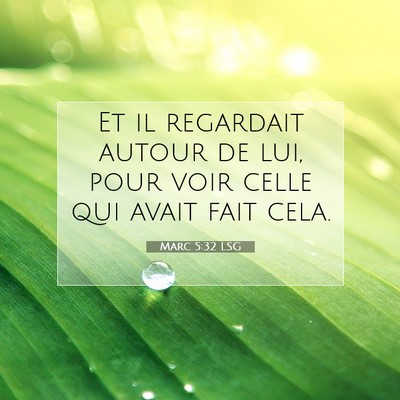 Picture 07 - Marc 5:32 LSG - Et il regardait autour de lui, pour voir celle - Bible Verse Picture