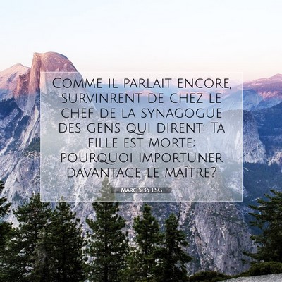 Picture 07 - Marc 5:35 LSG - Comme il parlait encore, survinrent de chez le - Bible Verse Picture