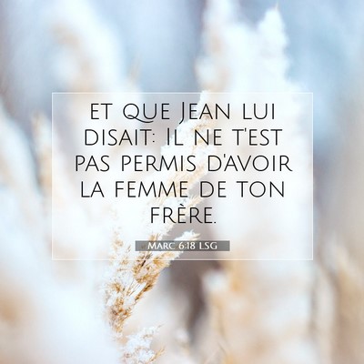Picture 07 - Marc 6:18 LSG - et que Jean lui disait: Il ne t'est pas permis - Bible Verse Picture