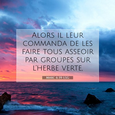 Picture 07 - Marc 6:39 LSG - Alors il leur commanda de les faire tous asseoir - Bible Verse Picture
