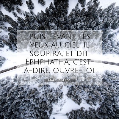 Picture 07 - Marc 7:34 LSG - puis, levant les yeux au ciel, il soupira, et - Bible Verse Picture