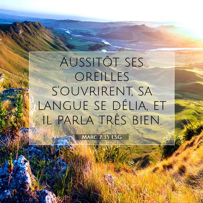 Picture 07 - Marc 7:35 LSG - Aussitôt ses oreilles s'ouvrirent, sa langue se - Bible Verse Picture