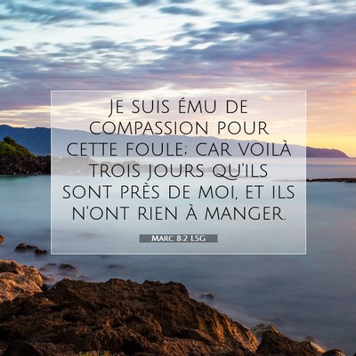 Picture 07 - Marc 8:2 LSG - Je suis ému de compassion pour cette foule; car - Bible Verse Picture