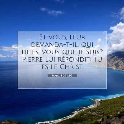Picture 07 - Marc 8:29 LSG - Et vous, leur demanda-t-il, qui dites-vous que je - Bible Verse Picture