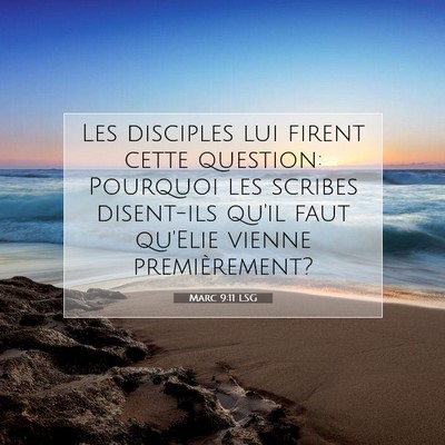 Picture 07 - Marc 9:11 LSG - Les disciples lui firent cette question: Pourquoi - Bible Verse Picture