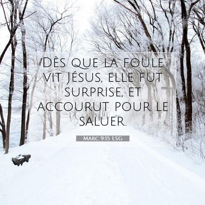 Picture 07 - Marc 9:15 LSG - Dès que la foule vit Jésus, elle fut surprise, - Bible Verse Picture