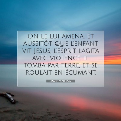 Picture 07 - Marc 9:20 LSG - On le lui amena. Et aussitôt que l'enfant vit - Bible Verse Picture
