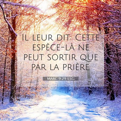 Picture 07 - Marc 9:29 LSG - Il leur dit: Cette espèce-là ne peut sortir que - Bible Verse Picture