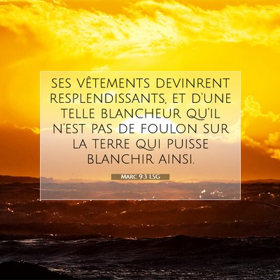 Picture 07 - Marc 9:3 LSG - ses vêtements devinrent resplendissants, et - Bible Verse Picture