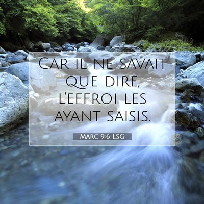 Picture 07 - Marc 9:6 LSG - Car il ne savait que dire, l'effroi les ayant - Bible Verse Picture