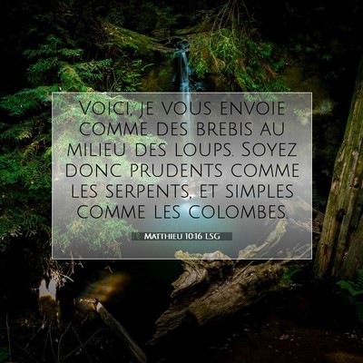 Picture 07 - Matthieu 10:16 LSG - Voici, je vous envoie comme des brebis au milieu - Bible Verse Picture