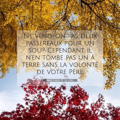 Picture 07 - Matthieu 10:29 LSG - Ne vend-on pas deux passereaux pour un sou? - Bible Verse Picture