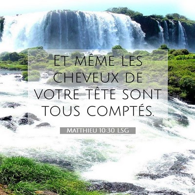 Picture 07 - Matthieu 10:30 LSG - Et même les cheveux de votre tête sont tous - Bible Verse Picture
