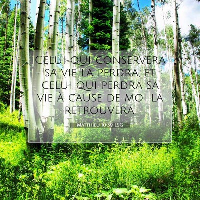Picture 07 - Matthieu 10:39 LSG - Celui qui conservera sa vie la perdra, et celui - Bible Verse Picture