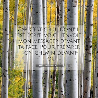 Picture 07 - Matthieu 11:10 LSG - Car c'est celui dont il est écrit: Voici, - Bible Verse Picture