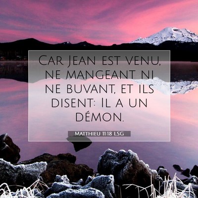 Picture 07 - Matthieu 11:18 LSG - Car Jean est venu, ne mangeant ni ne buvant, et - Bible Verse Picture