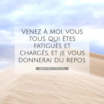 Picture 07 - Matthieu 11:28 LSG - Venez à moi, vous tous qui êtes fatigués et - Bible Verse Picture
