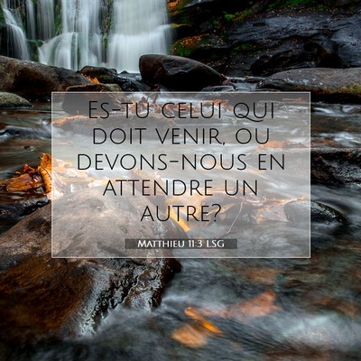Picture 07 - Matthieu 11:3 LSG - Es-tu celui qui doit venir, ou devons-nous en - Bible Verse Picture