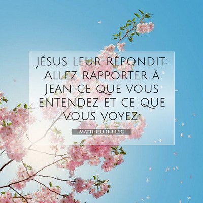 Picture 07 - Matthieu 11:4 LSG - Jésus leur répondit: Allez rapporter à Jean ce - Bible Verse Picture