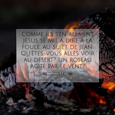 Picture 07 - Matthieu 11:7 LSG - Comme ils s'en allaient, Jésus se mit à dire à - Bible Verse Picture