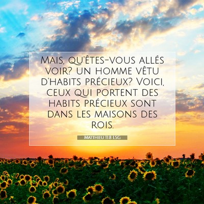 Picture 07 - Matthieu 11:8 LSG - Mais, qu'êtes-vous allés voir? un homme vêtu - Bible Verse Picture