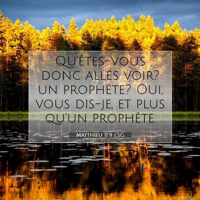 Picture 07 - Matthieu 11:9 LSG - Qu'êtes-vous donc allés voir? un prophète? - Bible Verse Picture