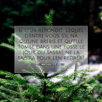 Picture 07 - Matthieu 12:11 LSG - Il leur répondit: Lequel d'entre vous, s'il n'a - Bible Verse Picture