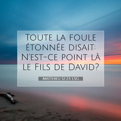 Picture 07 - Matthieu 12:23 LSG - Toute la foule étonnée disait: N'est-ce point - Bible Verse Picture