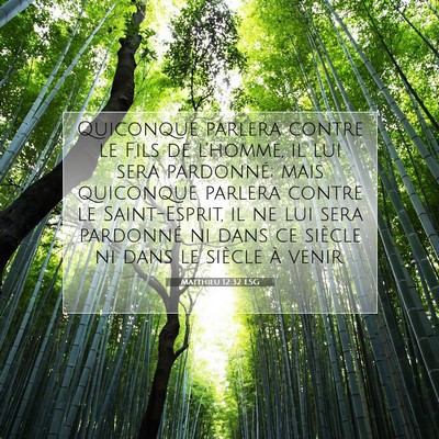 Picture 07 - Matthieu 12:32 LSG - Quiconque parlera contre le Fils de l'homme, il - Bible Verse Picture