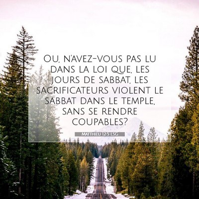 Picture 07 - Matthieu 12:5 LSG - Ou, n'avez-vous pas lu dans la loi que, les jours - Bible Verse Picture