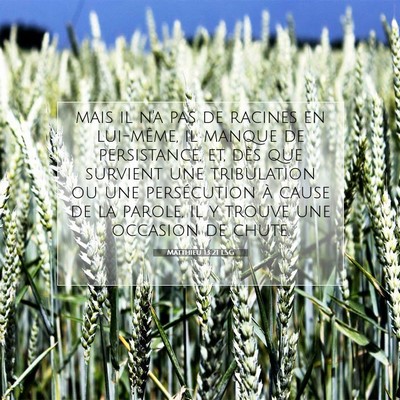 Picture 07 - Matthieu 13:21 LSG - mais il n'a pas de racines en lui-même, il - Bible Verse Picture