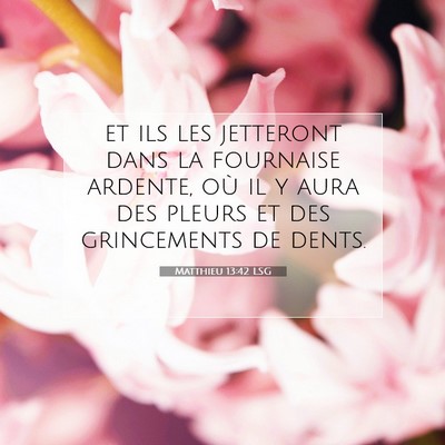 Picture 07 - Matthieu 13:42 LSG - et ils les jetteront dans la fournaise ardente, - Bible Verse Picture